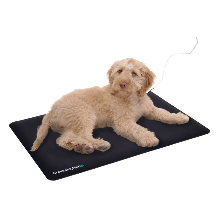 grounding mat for dogs