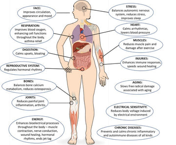 diagram of human body showing 14 distinct benefits from grounding including heart, aging, etc