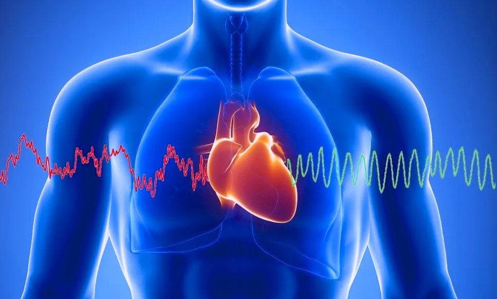 Heart electrical signals diagram